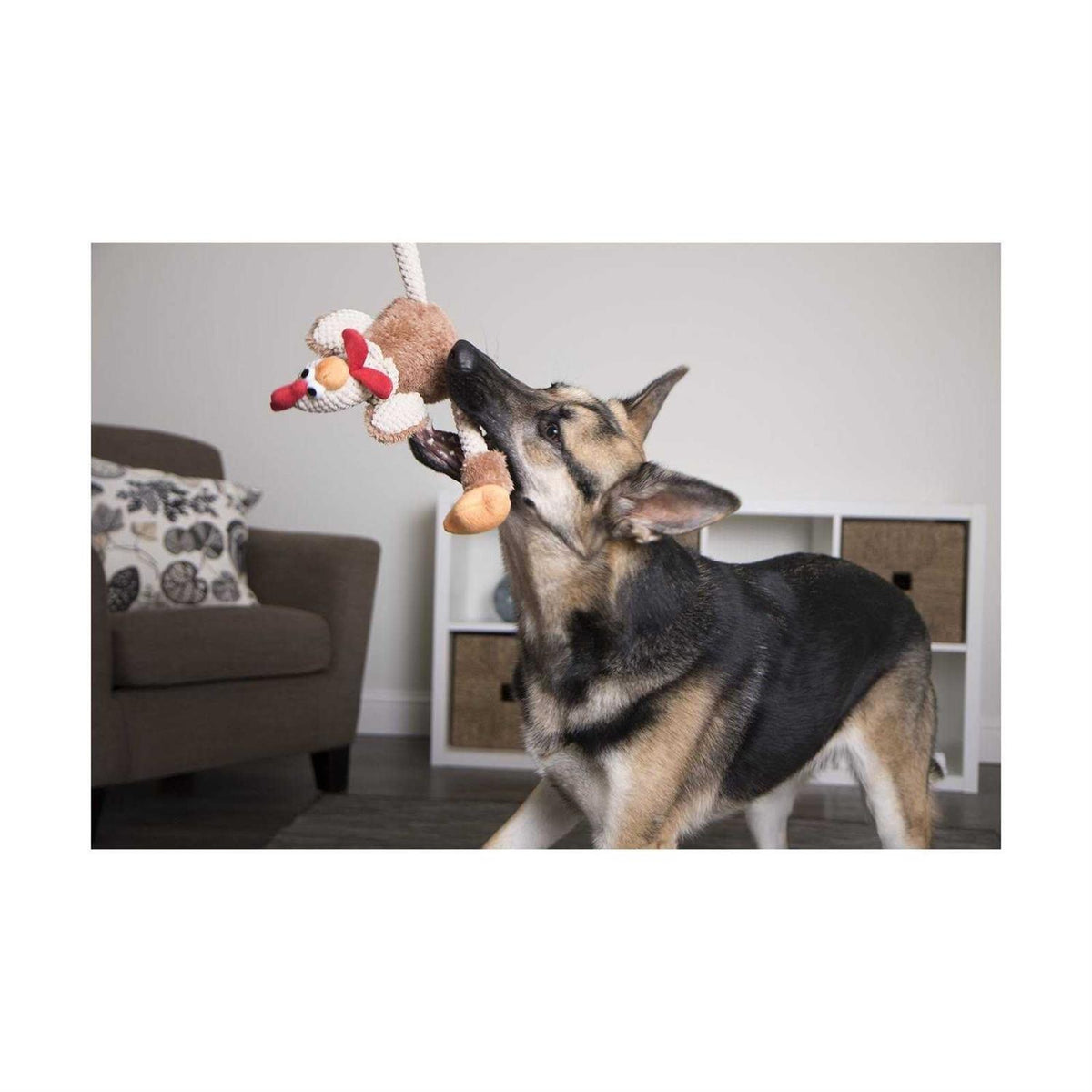 Skinny Rooster Dog Toy V2039
