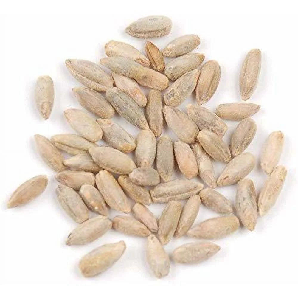 22 Pound Bag Of Rye Berries H3466