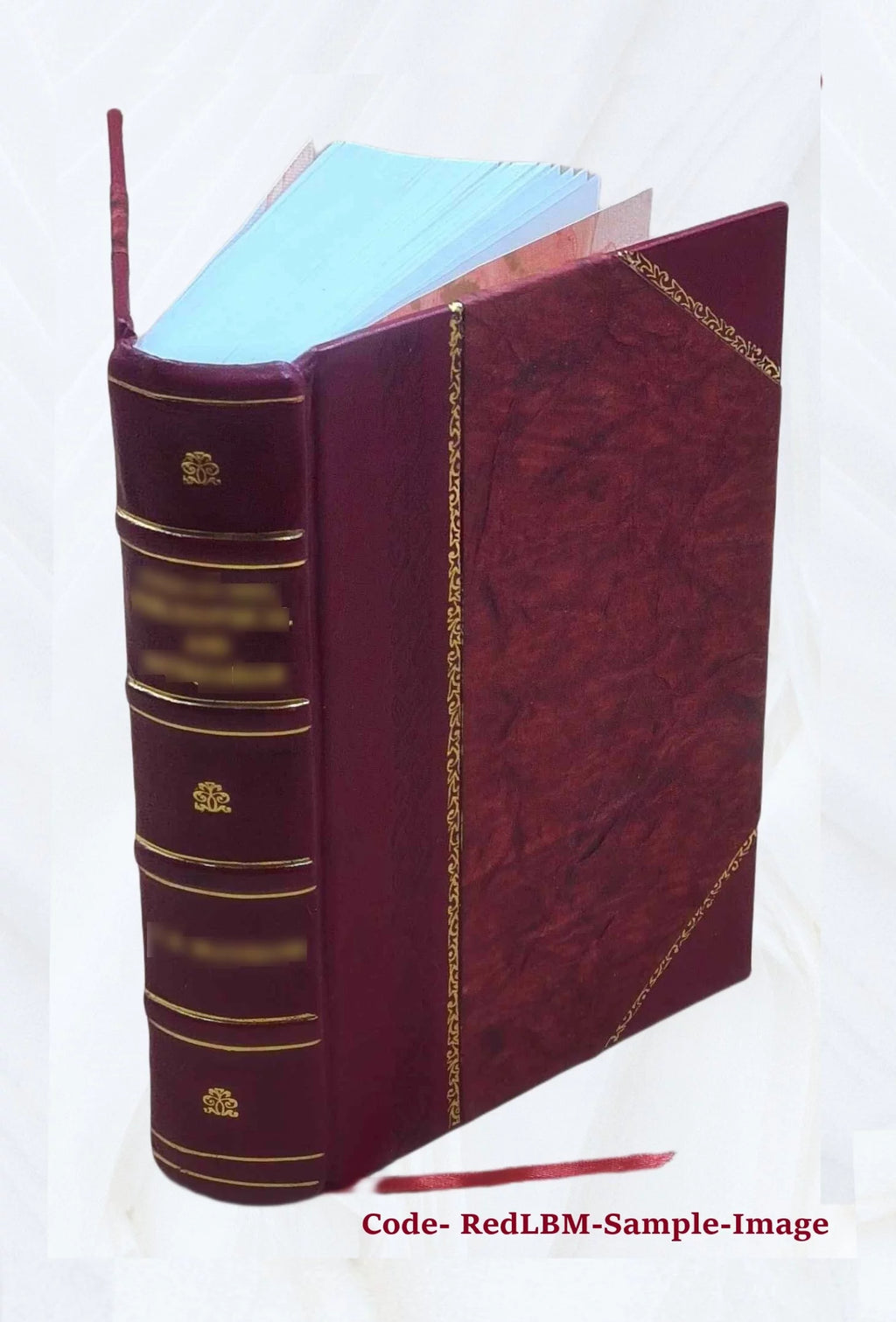 La Guerre russo-japonaise Leather Bound N690286