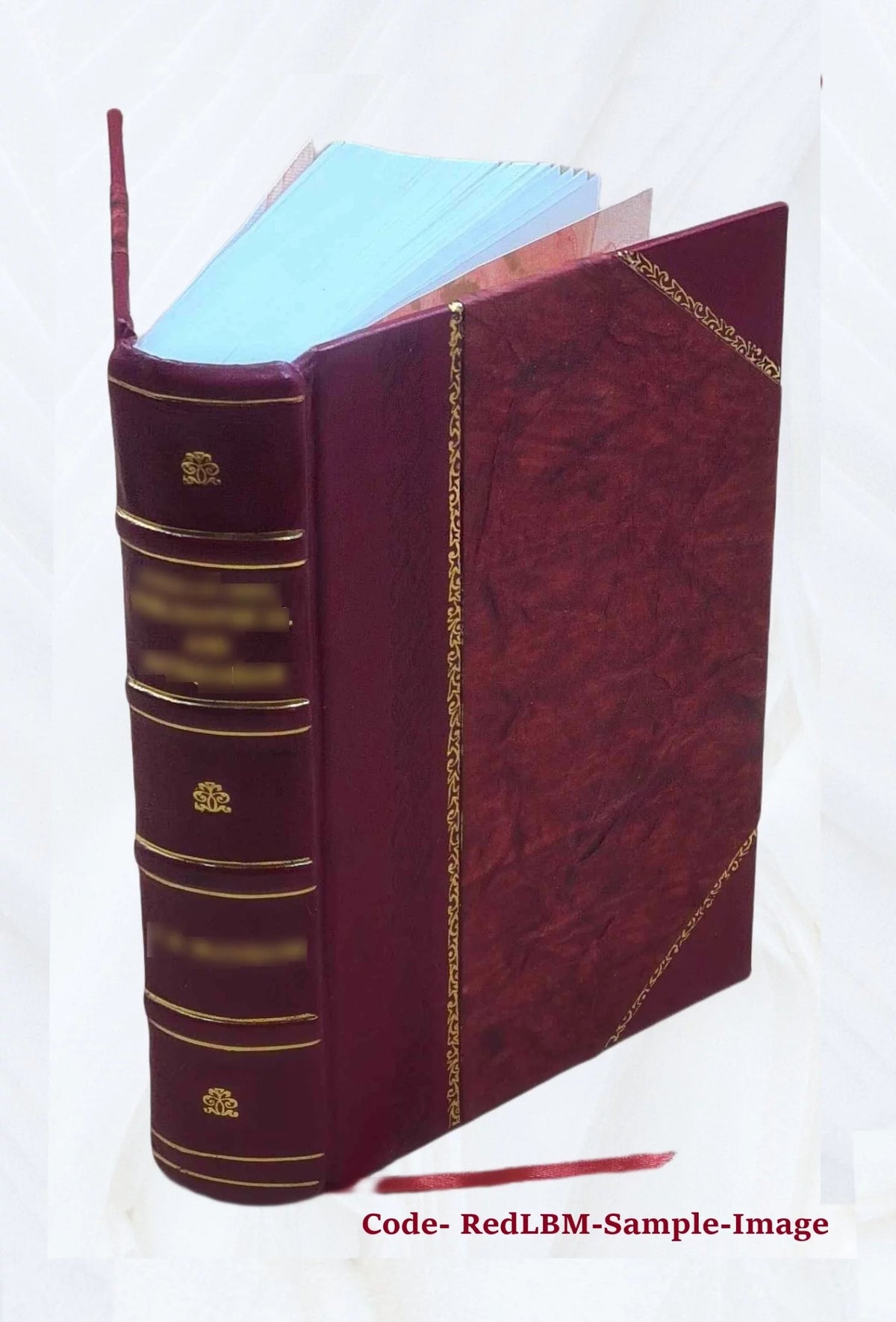 La Guerre russo-japonaise Leather Bound N690286