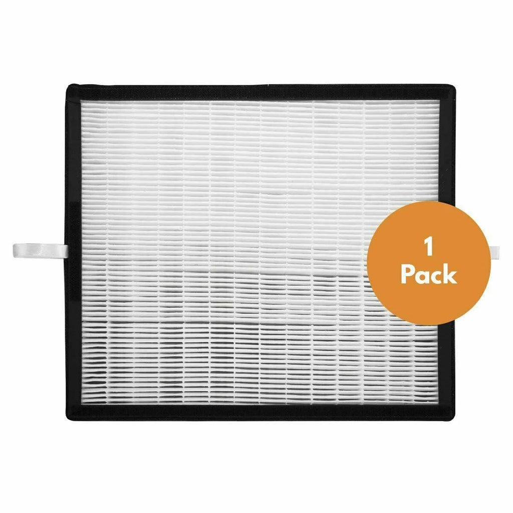 HEPA Replacement Filter G118