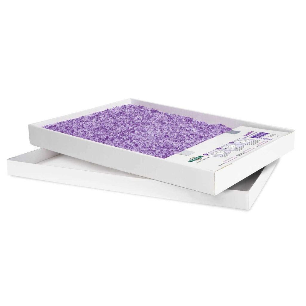 Crystal Disposable Litter Tray K56558