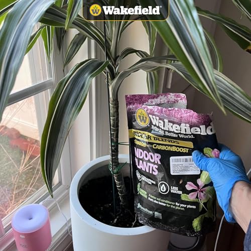 Biochar Indoor Potting Mix with Pine Bark and Worm Casting 2 Quart B59776