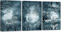 3 Pieces Full Moon Canvas Wall Art Forest Night Scenery Autumn Landscape Stretched and Framed 16x24inchx3pcs X26897