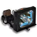 Projector Lamp with Housing P819