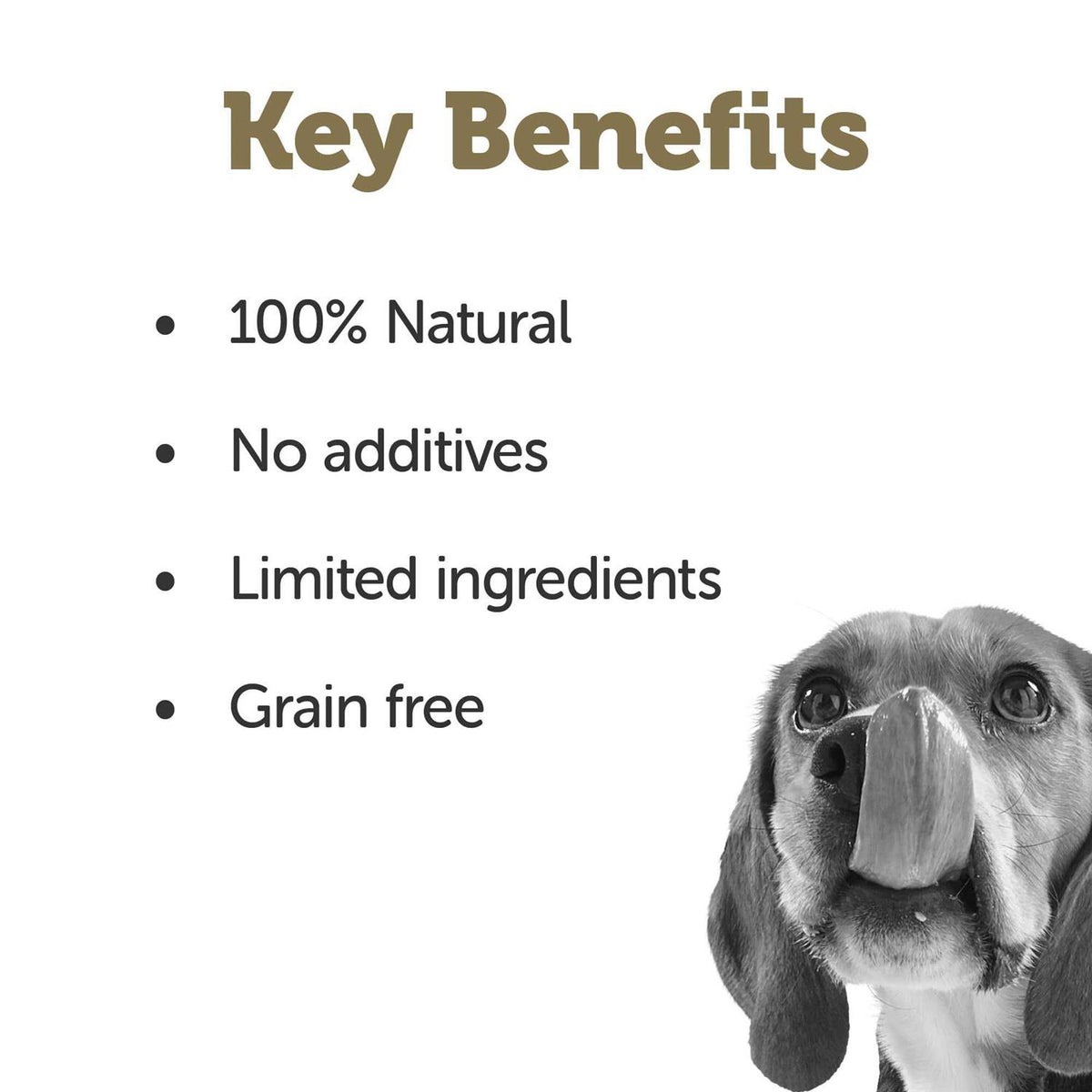 Natural Wet Dog Food N10563