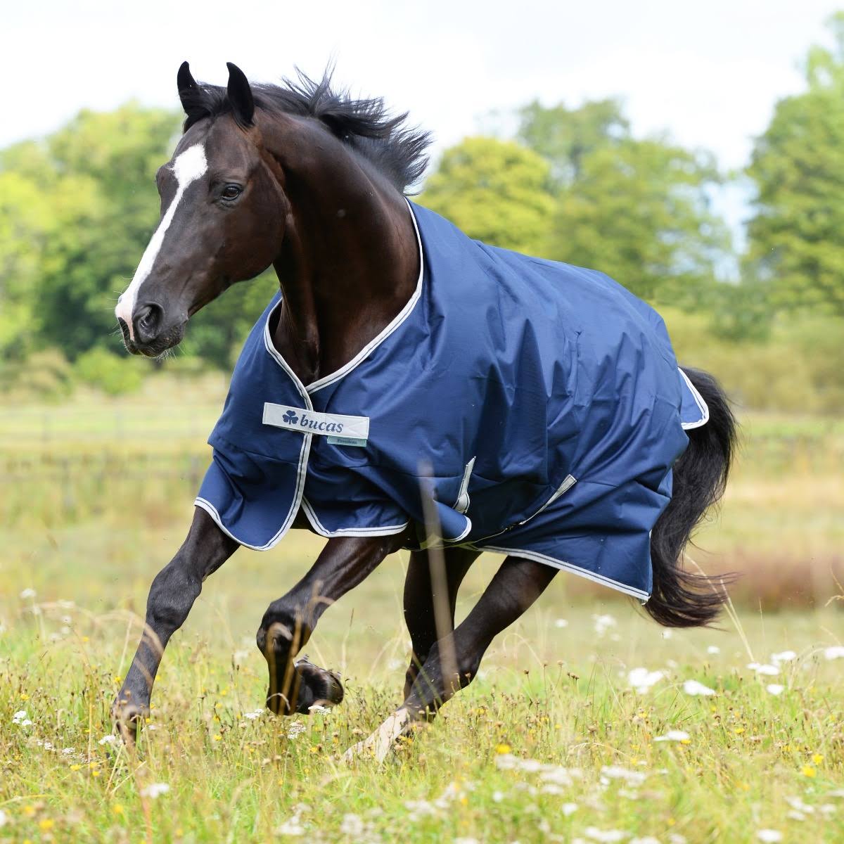 Navy 300g Turnout U40582