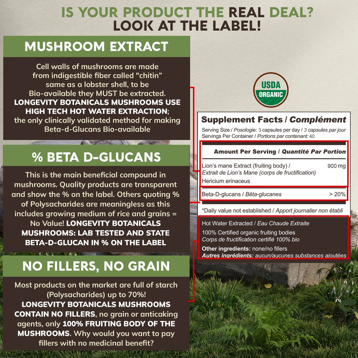 Organic Lion’s Mane Mushroom Supplement Capsules (120 Count) W72133