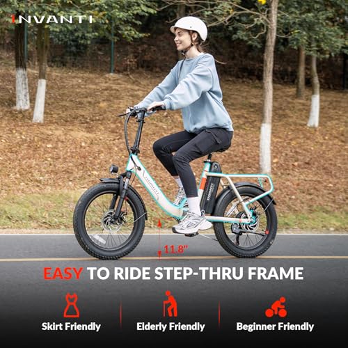 20" Step-Thru Fat Tire Electric Bike with Rear Rack, 7-Speed, Front Suspension V49814