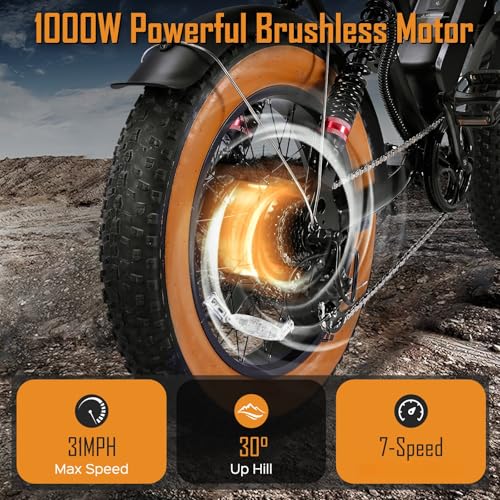 1000W 20" Fat Tire 48V 17.5AH Removable Battery Electric Bike V2154
