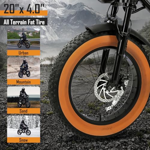 1000W 20" Fat Tire 48V 17.5AH Removable Battery Electric Bike V2154