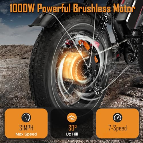 1000W 20" Fat Tire 48V 17.5AH Removable Battery Electric Bike V2154