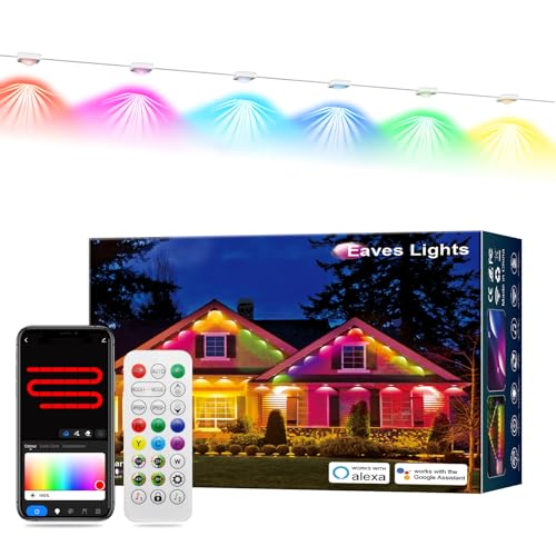 RGB+IC Christmas Eave Lights 30ft 22 LED Warm White IP68 Waterproof Smart Starry Outside Light J9010