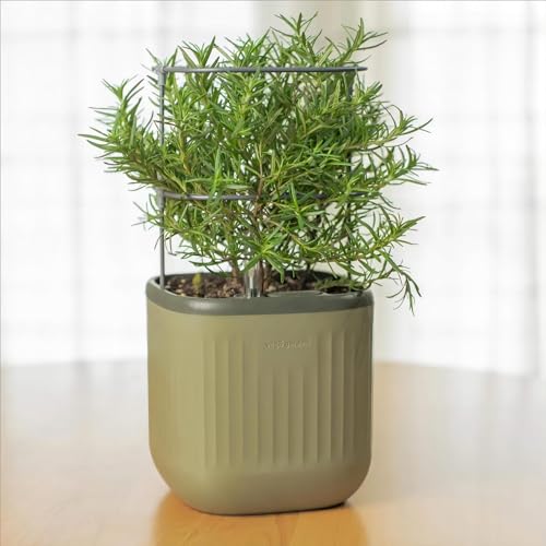 Sage Green Self-Watering Indoor Planter with Trellis A76004