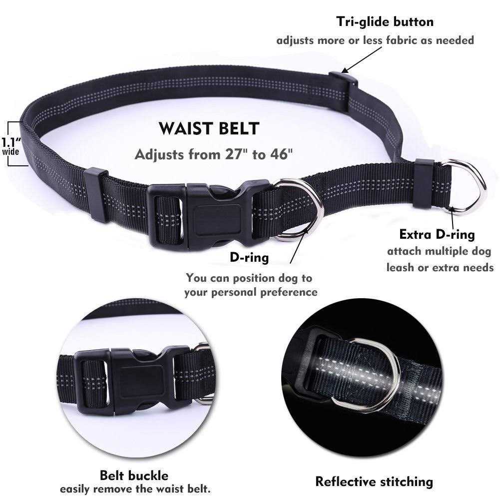 Hands Free Reflective Bungee Dog Leash A991544