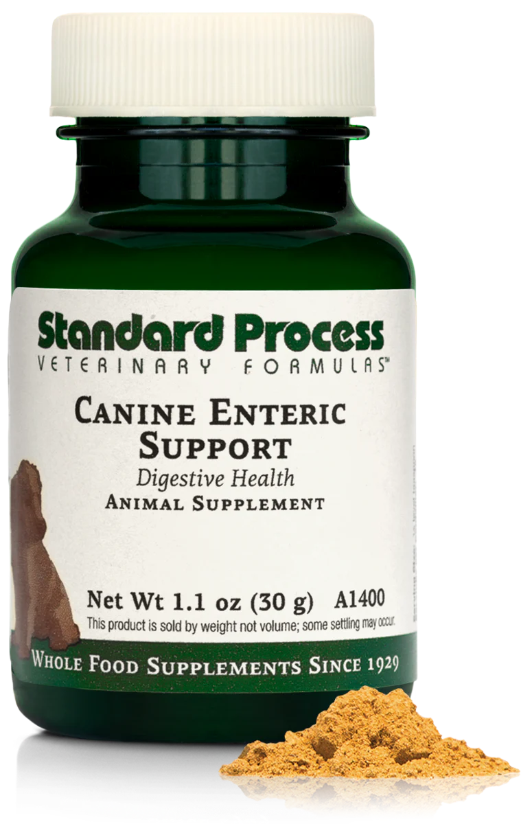 Enteric Support 1.1 oz B734