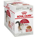 Adult Instinctive Chunks in Gravy Cat Food Pouch I824949