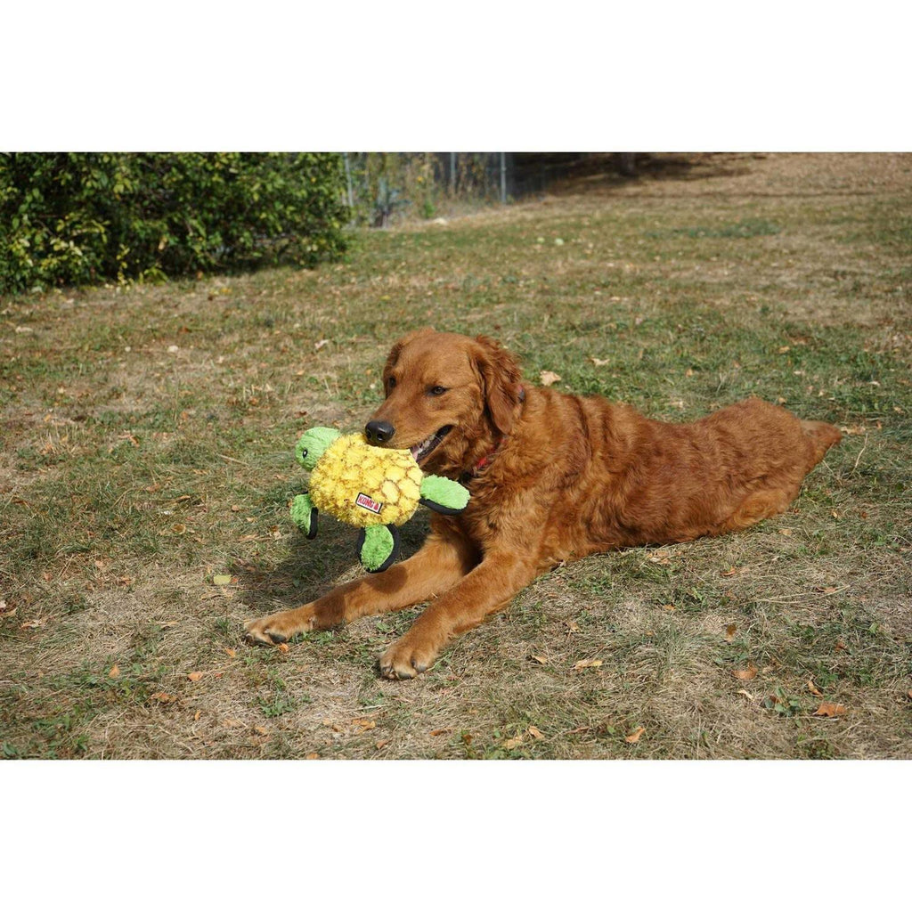 Ballistic Turtle Dog Toy N891949