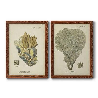 Ecru Coral Framed Canvas Print Y5520
