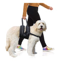 Veterinarian Approved Dog Sling Assist with Chest Strap H372690
