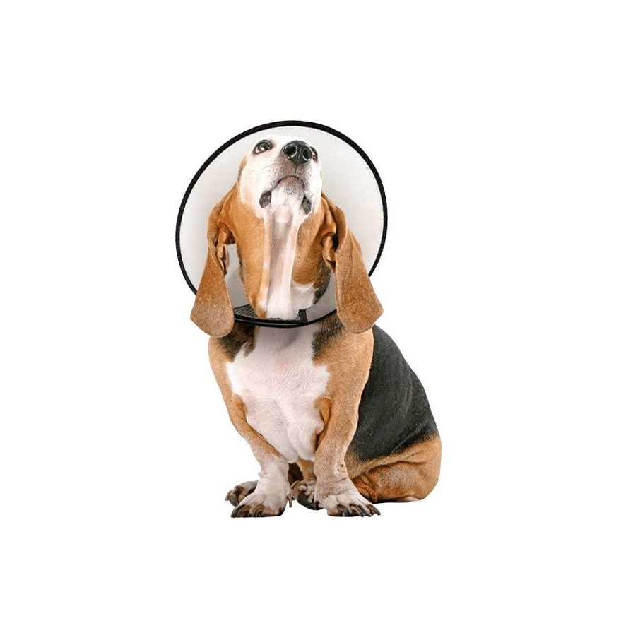 Protective Cone Collar Q8329