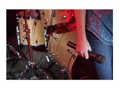 Microphone System R467
