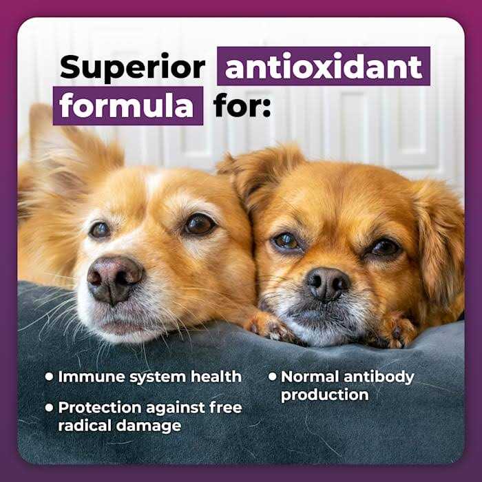 Immune Plus for Small Dogs B338