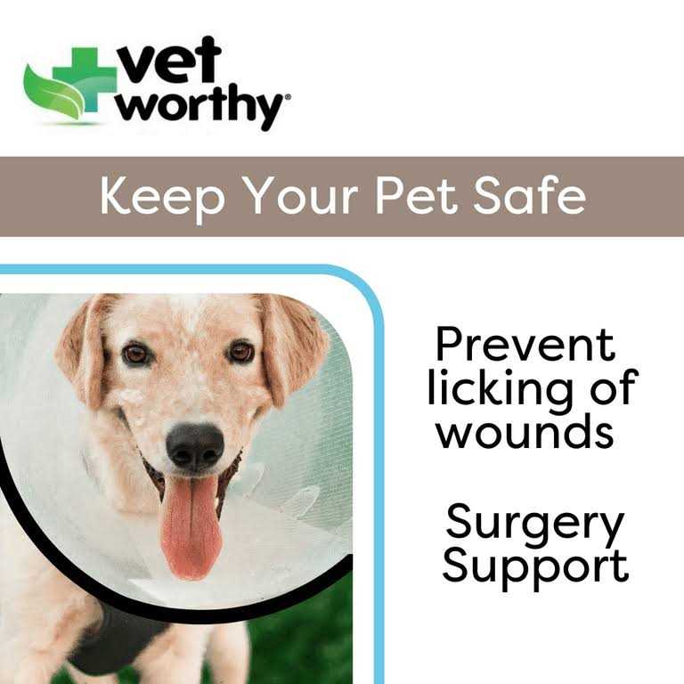 Protective Cone Collar Q8329