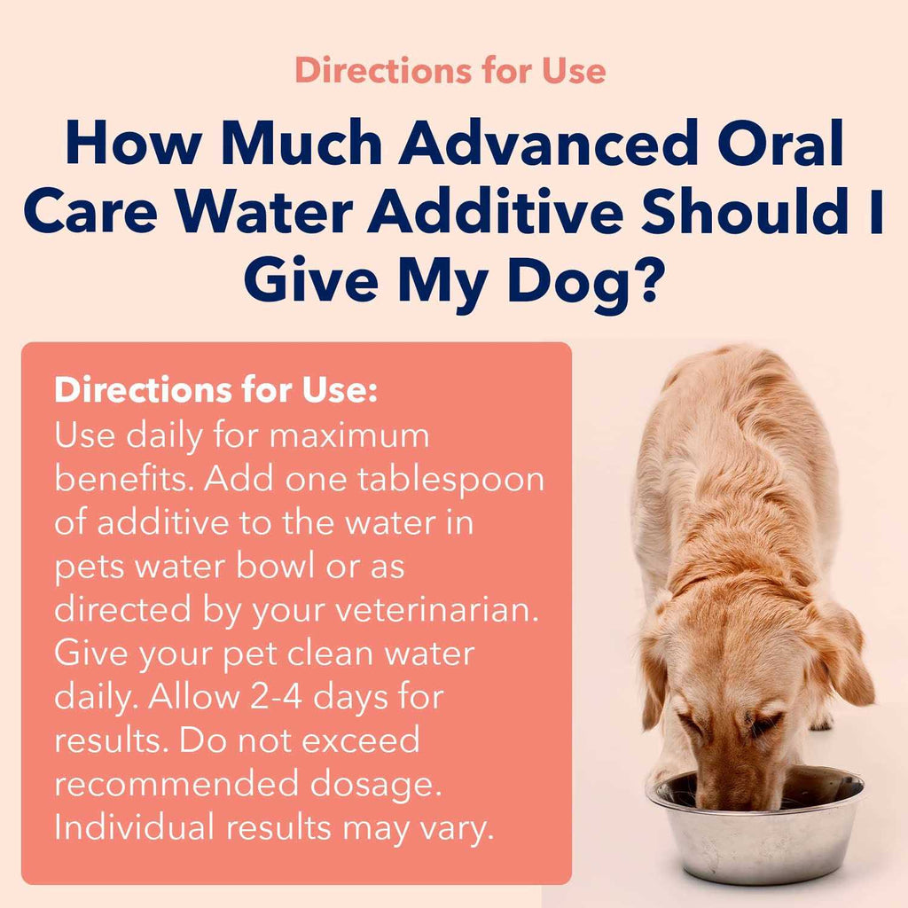 Advanced Oral Care Water Additive for Dogs K90048