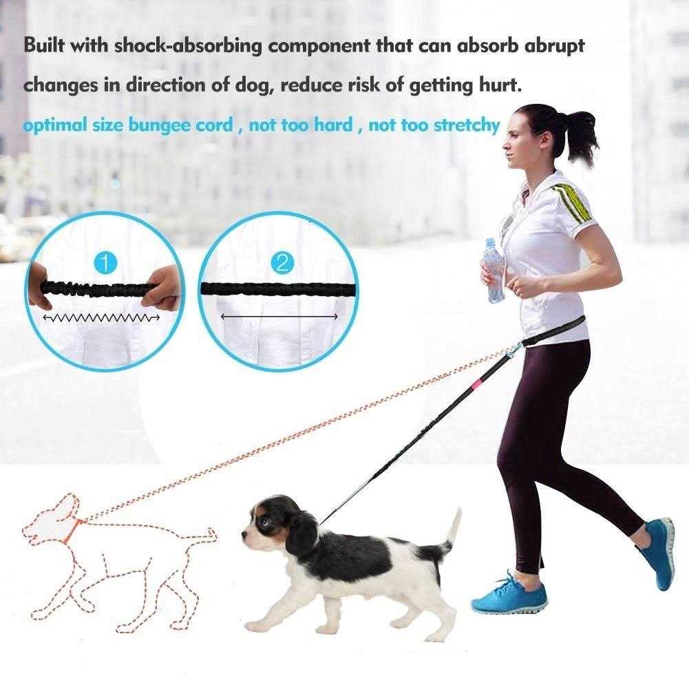 Hands Free Reflective Bungee Dog Leash A991544
