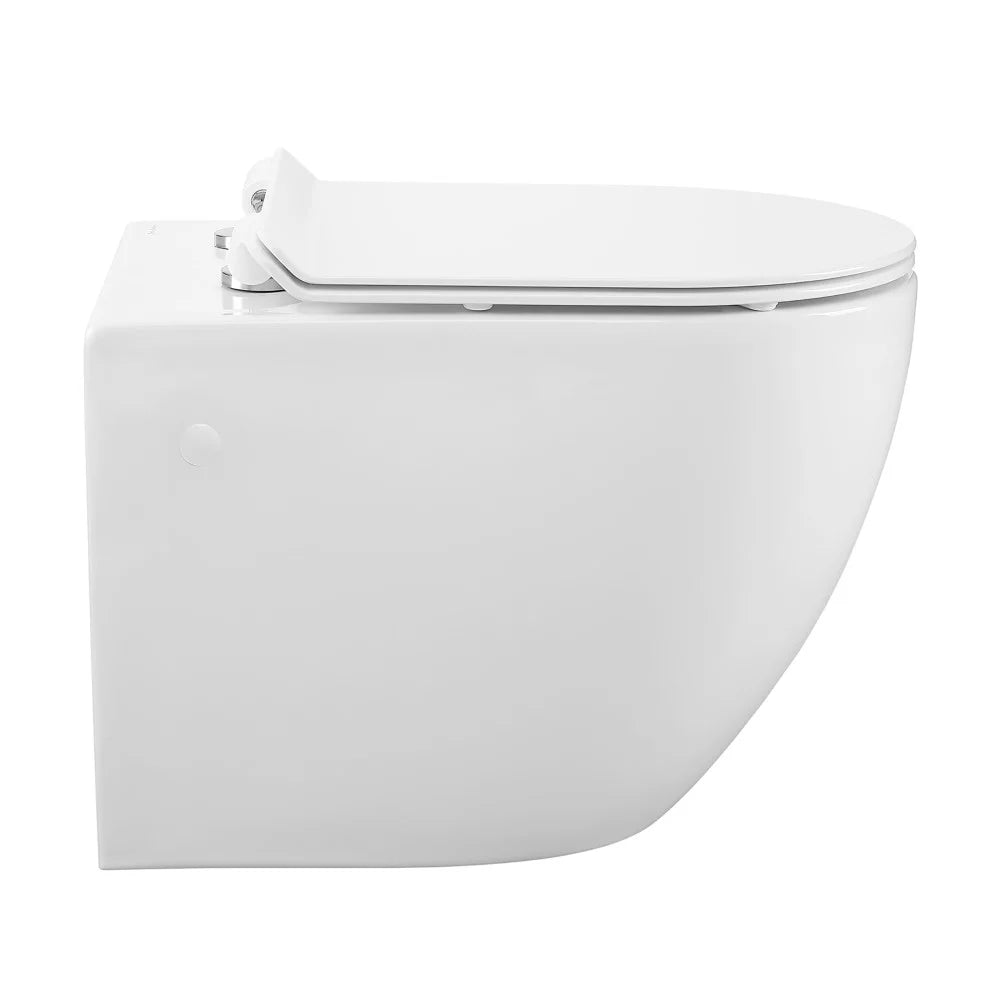 Wall Hung Toilet Bowl P685484
