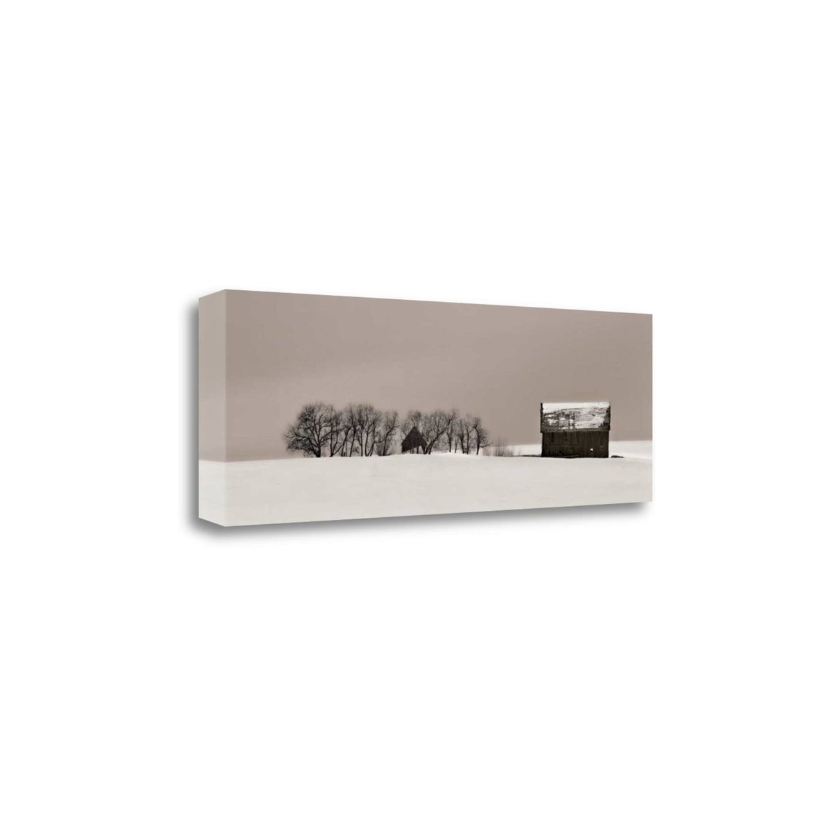 16x22 x 47x22 Fine Art Giclee Print W2259