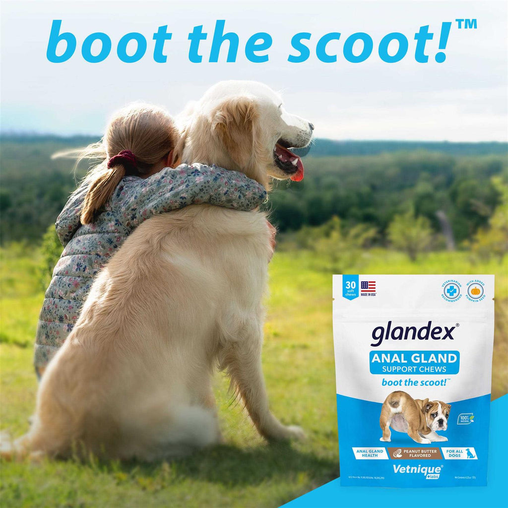 Peanut Butter Chews for Dogs O25519