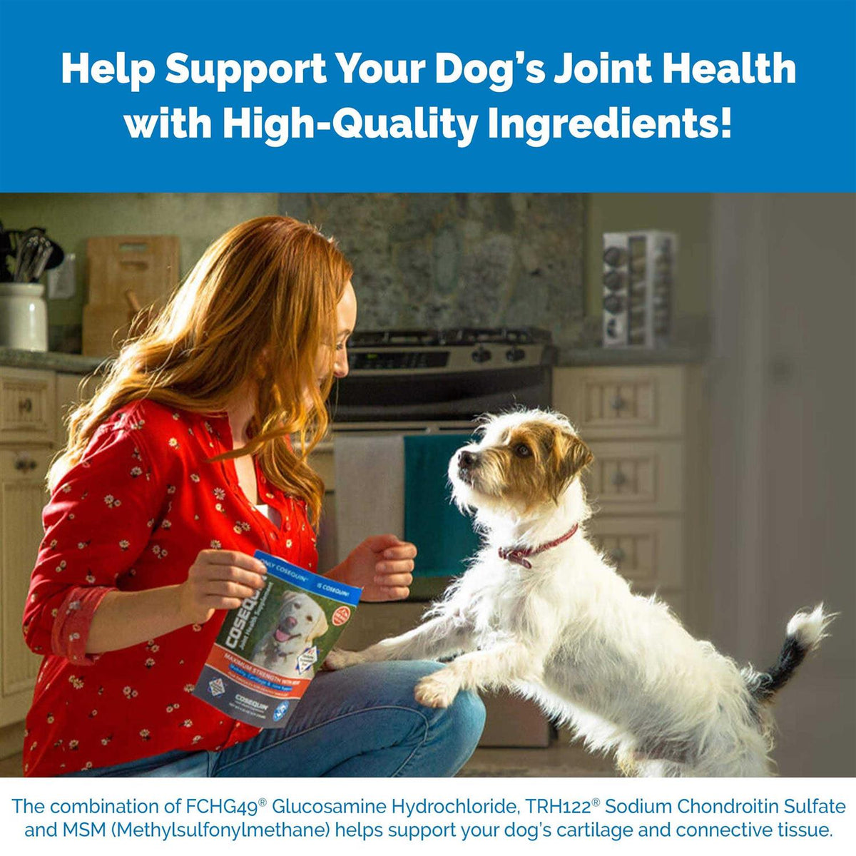 Cosequin DS Plus MSM for Dogs N22231