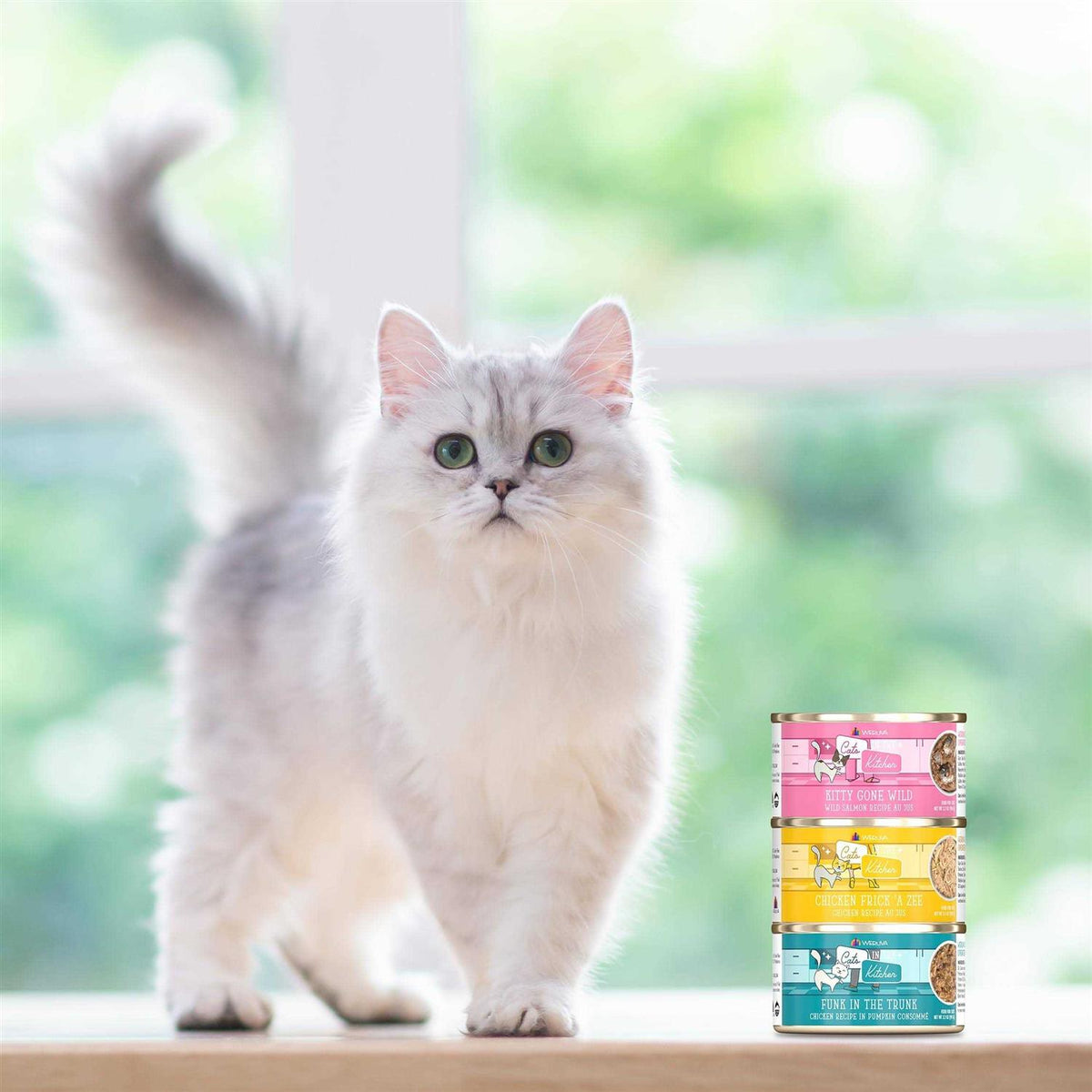 Wet Cat Food Variety Pack Y123