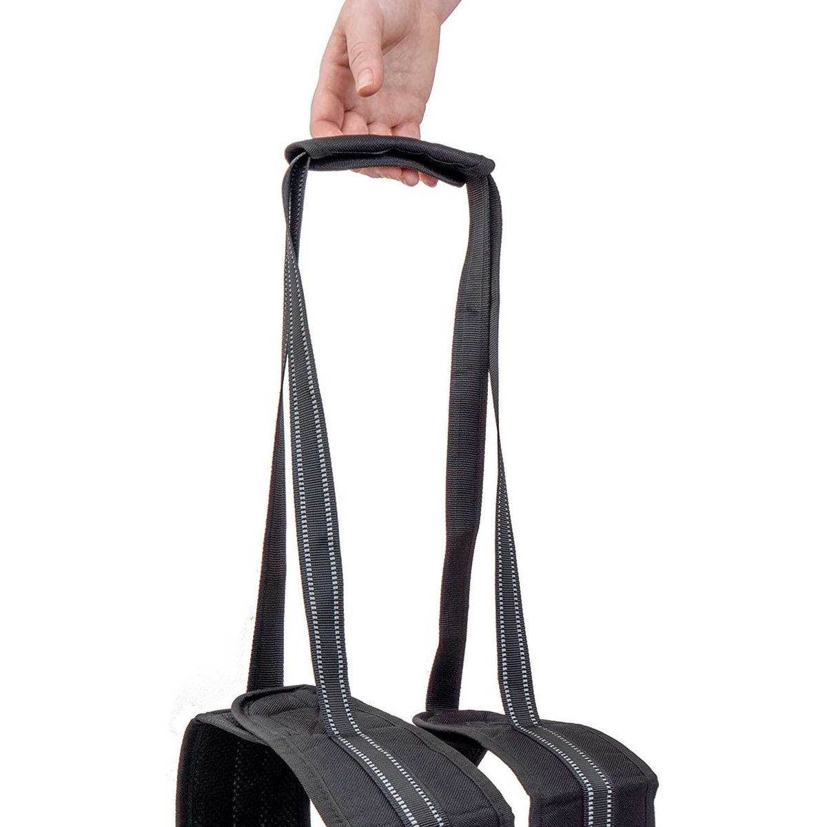 Veterinarian Approved Dog Sling Assist with Chest Strap H372690