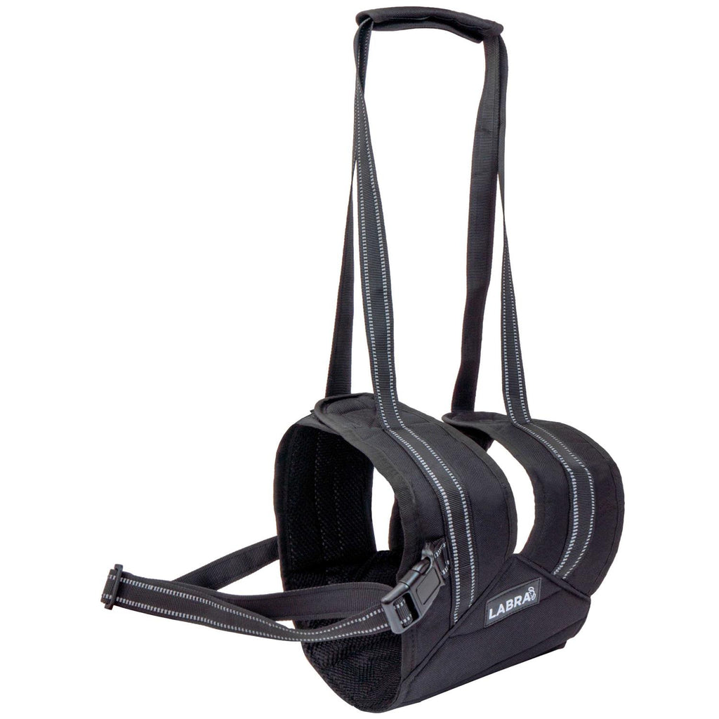 Veterinarian Approved Dog Sling Assist with Chest Strap H372690