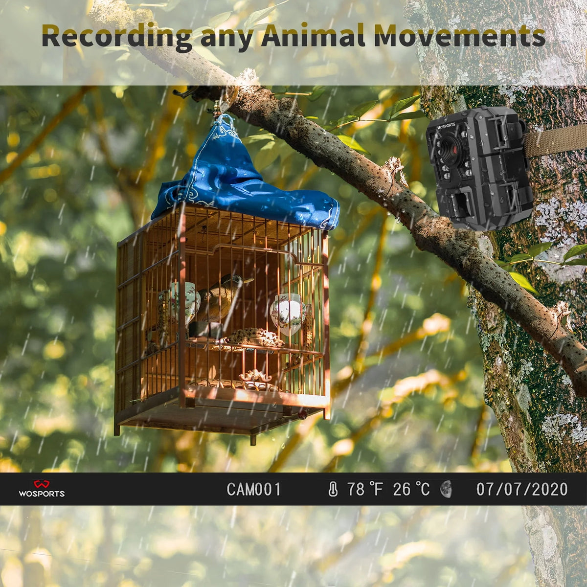 Mini Trail Camera 24MP 1080P Waterproof Infrared B894511