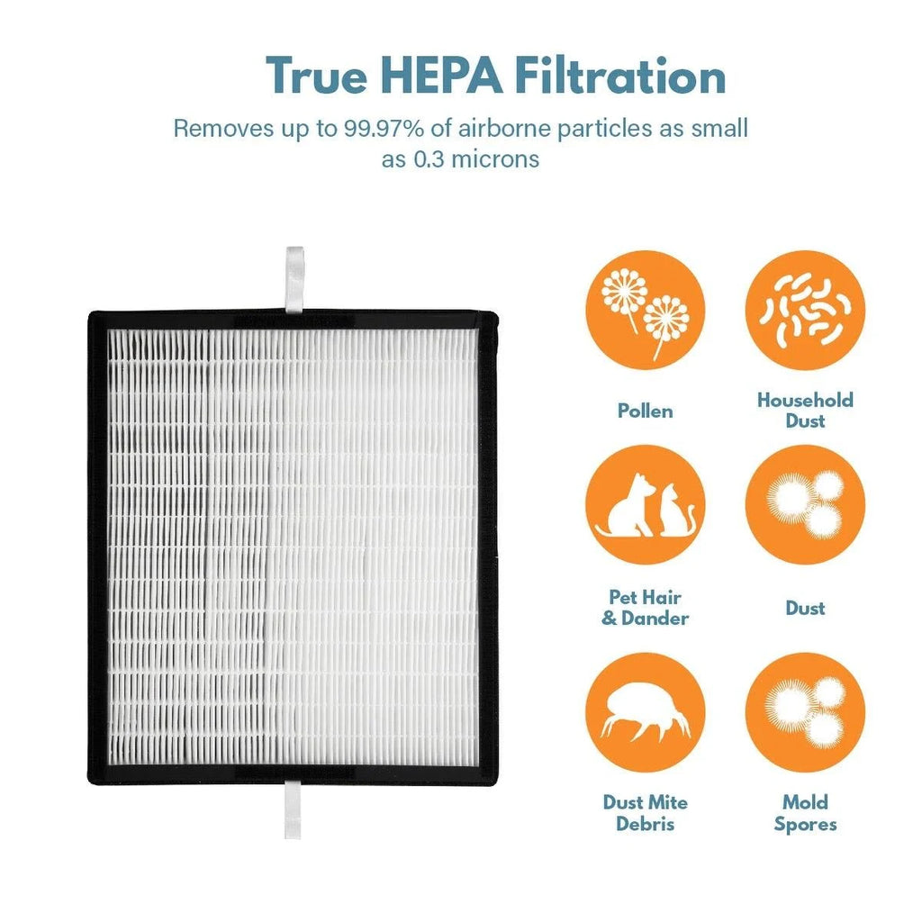 HEPA Replacement Filter G118