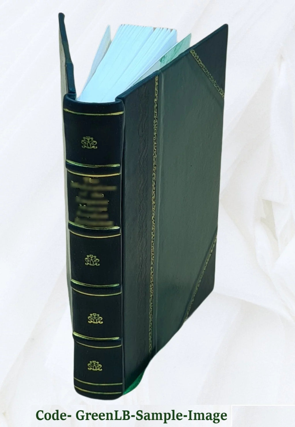 Libro médico azul de fórmulas y notas terapéuticas Leather Bound N617123