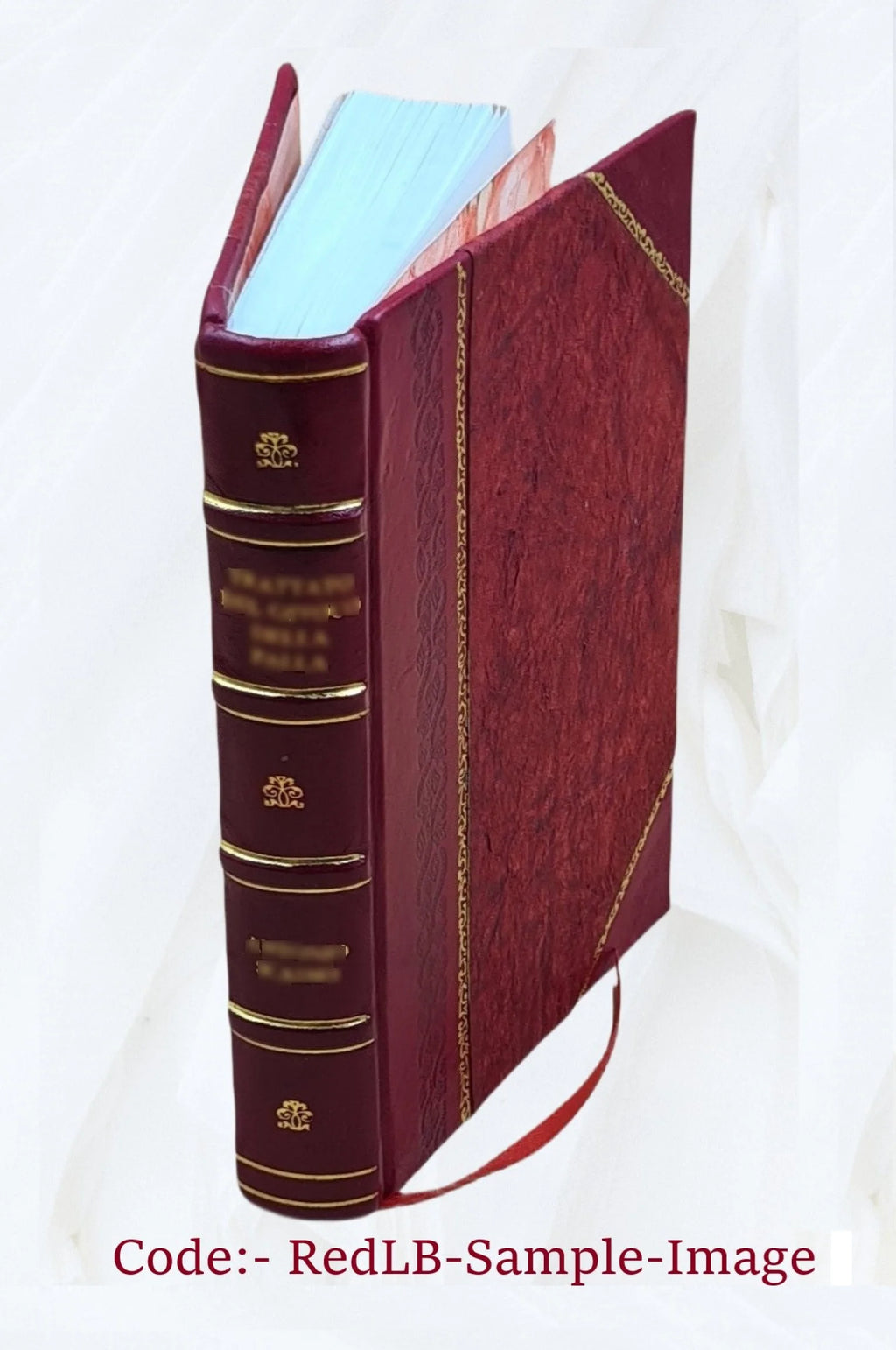 Leather Book P58282