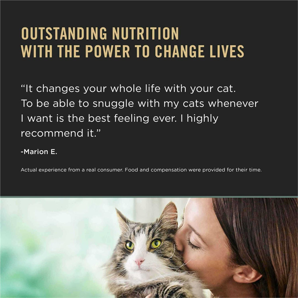 Rice Dry Cat Food E9570